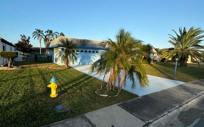 Photo of Brooke B.'s yard after getting lawn care in Sun City Center, FL