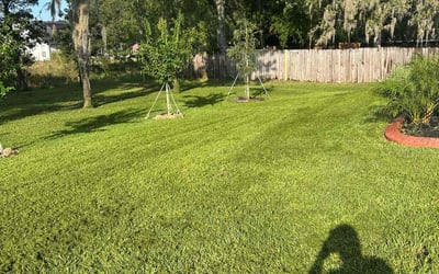 Photo of Lillian L.'s yard after getting lawn care in Pennsauken, NJ