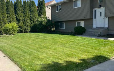 Photo of Pam W.'s yard after getting lawn care in Provo, UT