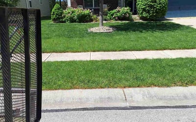 Photo of Rachel B.'s yard after getting lawn care in Avon, IN