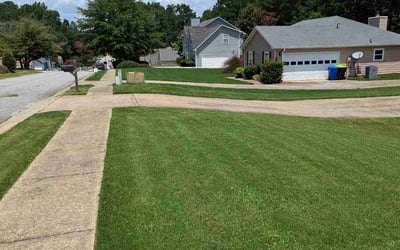 Photo of Nancy W.'s yard after getting lawn care in Fayetteville, GA