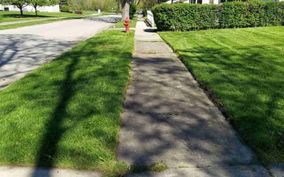 Photo of Jacque S.'s yard after getting lawn care in Richton Park, IL