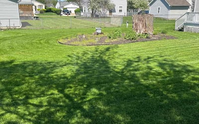 Photo of Brandon M.'s yard after getting lawn care in Cleveland, OH