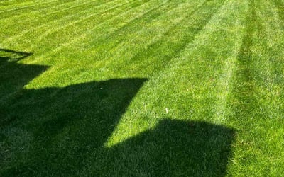 Photo of John C.'s yard after getting lawn care in Aberdeen, MD