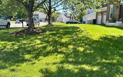 Photo of Robert S.'s yard after getting lawn care in Manassas, VA