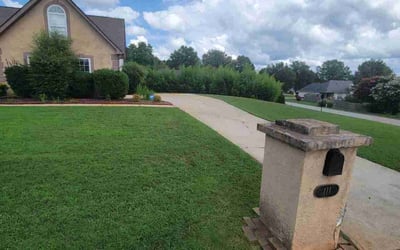 Photo of Esmie B.'s yard after getting lawn care in Bremen, GA