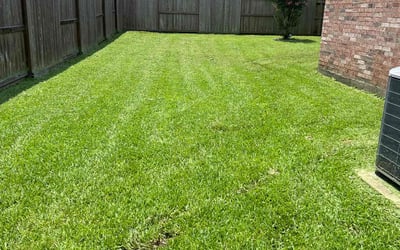 Photo of Danielle M.'s yard after getting lawn care in San Benito, TX