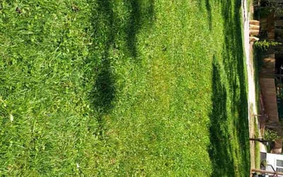 Photo of Elaine J.'s yard after getting lawn care in Southbridge, MA