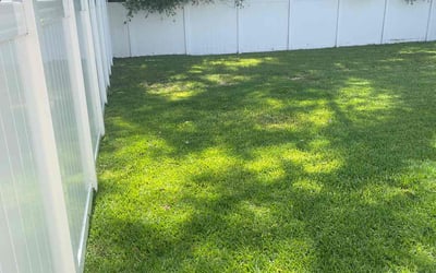Photo of David E.'s yard after getting lawn care in Yulee, FL