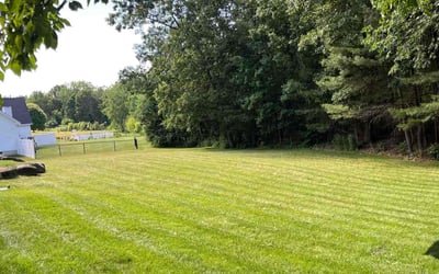 Photo of Lorraine B.'s yard after getting lawn care in Nashua, NH