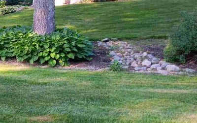 Photo of John D.'s yard after getting lawn care in Franklin, MA