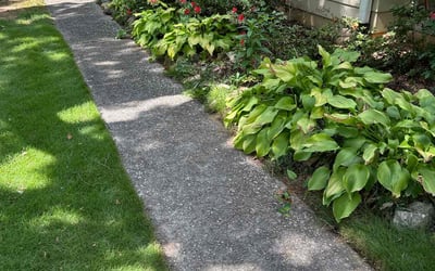 Photo of Carol V.'s yard after getting lawn care in Chamblee, GA
