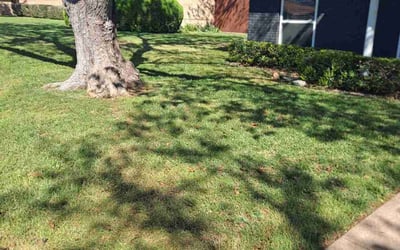 Photo of Robert M.'s yard after getting lawn care in Covina, CA
