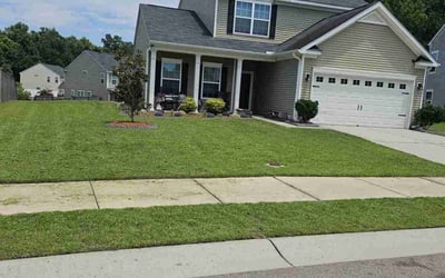 Photo of Gerald B.'s yard after getting lawn care in Goose Creek, SC