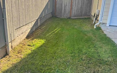 Photo of Savannah R.'s yard after getting lawn care in Bremerton, WA