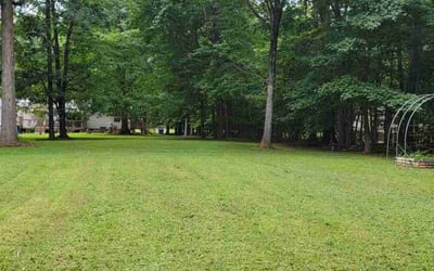 Photo of Erin M.'s yard after getting lawn care in Denton, TX
