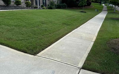 Photo of Laurene B.'s yard after getting lawn care in College Park, GA