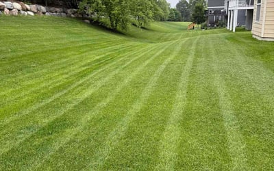 Photo of Brandy M.'s yard after getting lawn care in North Port, FL