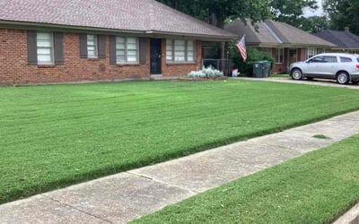 Photo of Hannah A.'s yard after getting lawn care in Germantown, TN