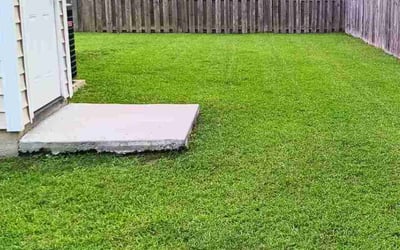 Photo of Dre B.'s yard after getting lawn care in Sugar Land, TX