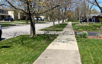 Photo of Ann B.'s yard after getting lawn care in Waukegan, IL