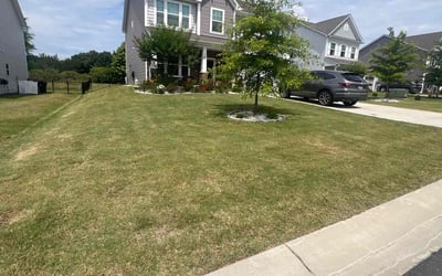 Photo of Sandra M.'s yard after getting lawn care in Great Falls, SC