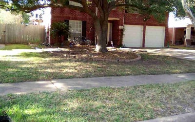 Photo of Jay J.'s yard after getting lawn care in Salem, OR