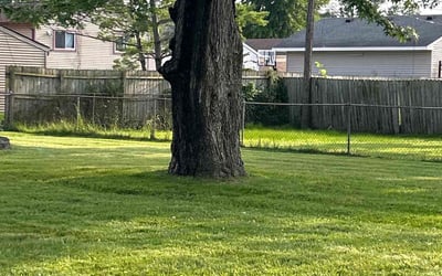 Photo of Kathie S.'s yard after getting lawn care in Garden City, MI