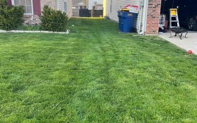 Photo of Andrew G.'s yard after getting lawn care in Indianapolis, IN