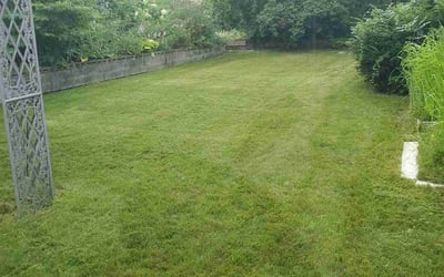 Photo of Kelly F.'s yard after getting lawn care in Kenosha, WI