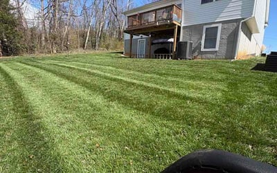 Photo of Erica T.'s yard after getting lawn care in Columbia, IL