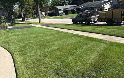 Photo of Shawn H.'s yard after getting lawn care in Cantonment, FL