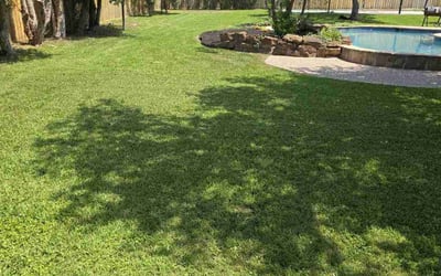 Photo of Diana M.'s yard after getting lawn care in San Antonio, TX