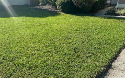 Photo of Raymond Q.'s yard after getting lawn care in Gainesville, FL