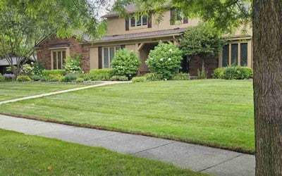 Photo of Yelena O.'s yard after getting lawn care in Troy, MI