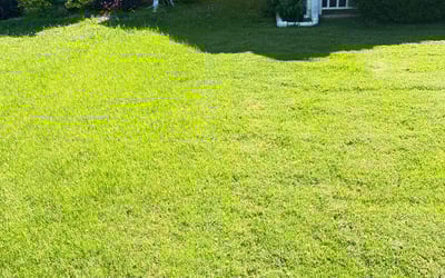 Photo of David S.'s yard after getting lawn care in Windsor, VA
