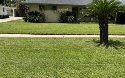 Photo of Molly R.'s yard after getting lawn care in Ponchatoula, LA