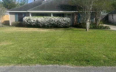 Photo of Keishele J.'s yard after getting lawn care in Prairieville, LA