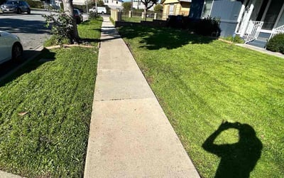 Photo of Sandra R.'s yard after getting lawn care in Inglewood, CA
