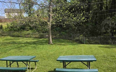 Photo of Rebecca C.'s yard after getting lawn care in China Grove, NC