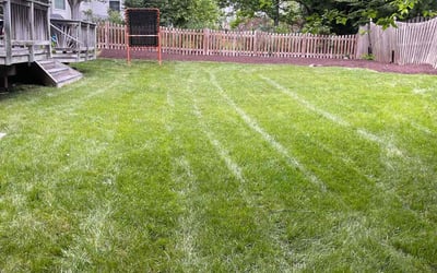 Photo of Heidi F.'s yard after getting lawn care in North Attleboro, MA