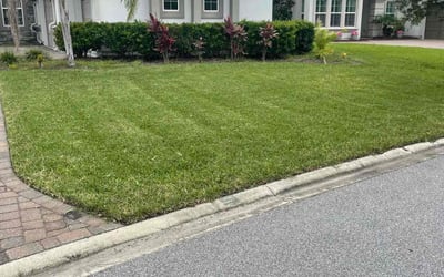 Photo of Chanell C.'s yard after getting lawn care in Keystone Heights, FL