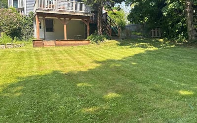 Photo of Susan S.'s yard after getting lawn care in Westport, MA