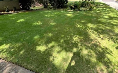 Photo of Cassandra B.'s yard after getting lawn care in Clairton, PA
