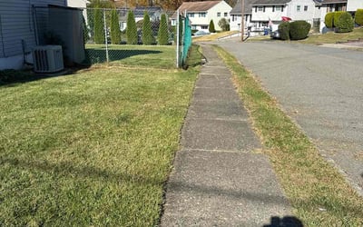 Photo of Barbara O.'s yard after getting lawn care in Dover, NJ