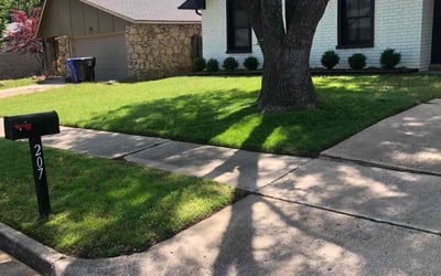 Photo of Kaiya S.'s yard after getting lawn care in Eugene, OR