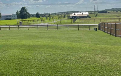 Photo of Jen P.'s yard after getting lawn care in Fall River, MA