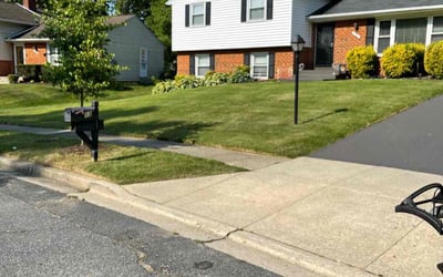 Photo of Ronald H.'s yard after getting lawn care in Upper Marlboro, MD