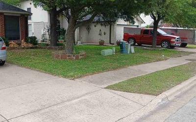 Photo of Dan B.'s yard after getting lawn care in Inver Grove Heights, MN