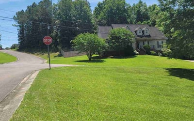 Photo of Andy C.'s yard after getting lawn care in Bessemer, AL